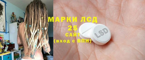 прущие грибы Костерёво