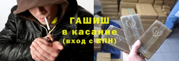 прущие грибы Костерёво
