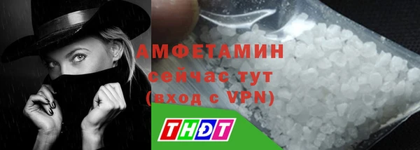 прущие грибы Костерёво
