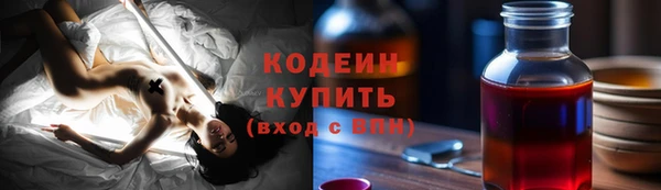 прущие грибы Костерёво