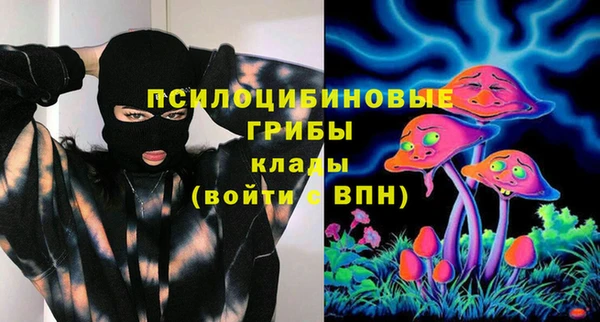 ALPHA PVP Корсаков