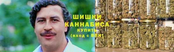 прущие грибы Костерёво