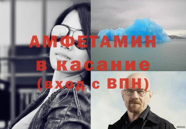 прущие грибы Костерёво
